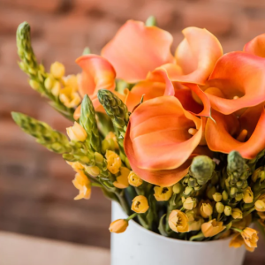 Wild Sage & Lavender Mix